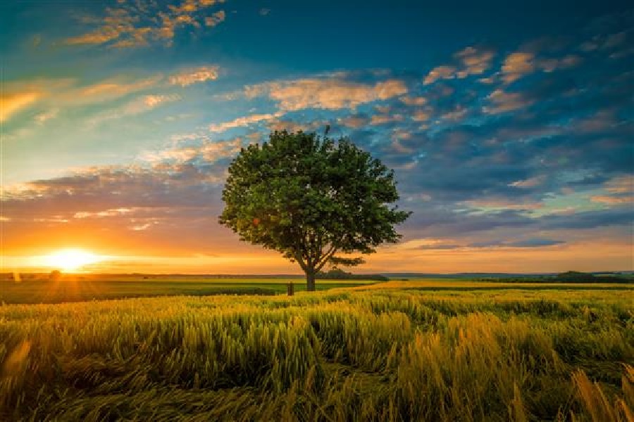 قابلیت 4K؛ وضوحی مثالزدنی برای ثبت تصاویر خارقالعاده
